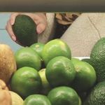 Хранение авокадо в домашних условиях